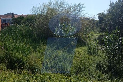 Helårsgrund i Aveiro, Aveiro, Aveiro - € 46.000 | Ref: TER_779 - foto 4