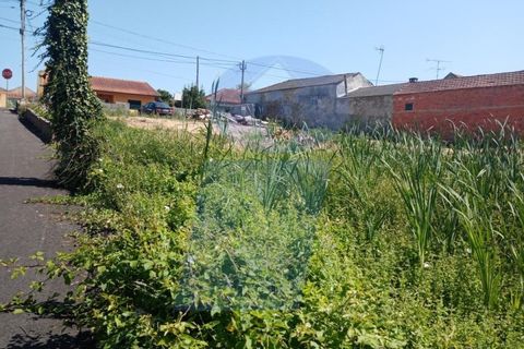 Helårsgrund i Aveiro, Aveiro, Aveiro - € 46.000 | Ref: TER_779 - foto 3