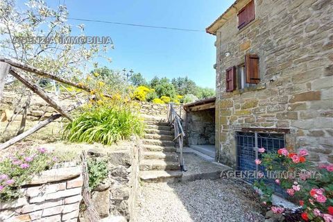 Landejendom i Arezzo, Arezzo, Arezzo - € 490.000 | Ref: 497 - foto 8