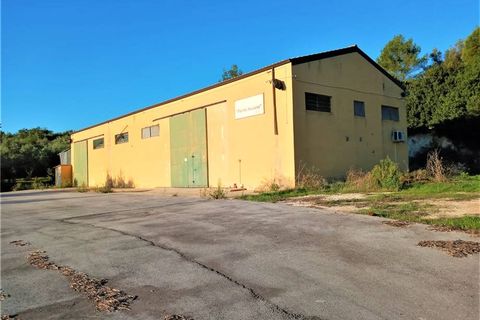 Erhvervsejendom i Noto, Siracusa, Noto - € 350.000 | Ref: 4OL - foto 4