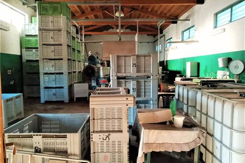 Erhvervsejendom i Noto, Siracusa, Noto - € 350.000 | Ref: 4OL - foto 9