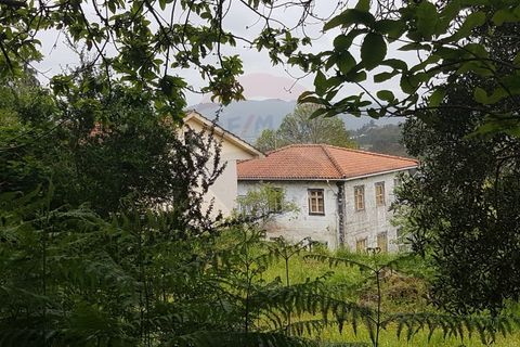 Farm i Arcos de Valdevez, Viana do Castelo, Arcos de Valdevez - € 400.000 | Ref: 126371012-17 - foto 3