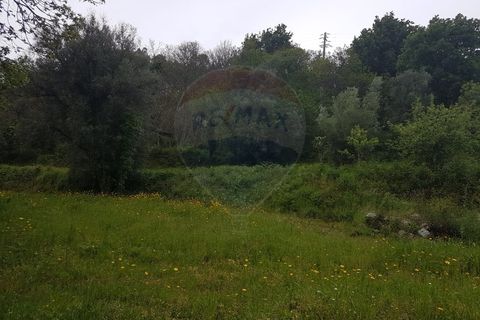 Farm i Arcos de Valdevez, Viana do Castelo, Arcos de Valdevez - € 400.000 | Ref: 126371012-17 - foto 4