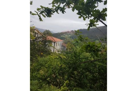 Farm i Arcos de Valdevez, Viana do Castelo, Arcos de Valdevez - € 400.000 | Ref: 126371012-17 - foto 6