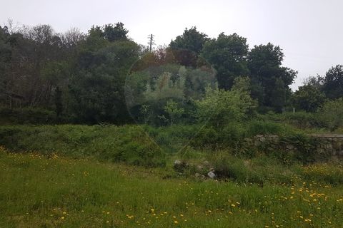 Farm i Arcos de Valdevez, Viana do Castelo, Arcos de Valdevez - € 400.000 | Ref: 126371012-17 - foto 7