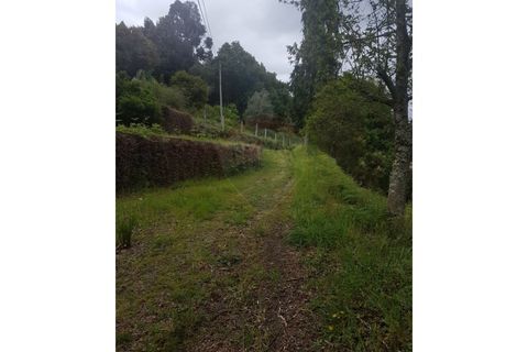Farm i Arcos de Valdevez, Viana do Castelo, Arcos de Valdevez - € 400.000 | Ref: 126371012-17 - foto 8