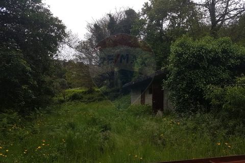 Farm i Arcos de Valdevez, Viana do Castelo, Arcos de Valdevez - € 400.000 | Ref: 126371012-17 - foto 9