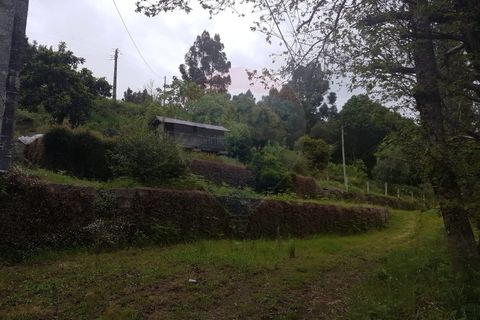 Farm i Arcos de Valdevez, Viana do Castelo, Arcos de Valdevez - € 400.000 | Ref: 126371012-17 - foto 12