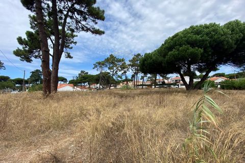 Helårsgrund i Almocageme, Lisbon, Almocageme - € 1.495.000 | Ref: 8686 - foto 5