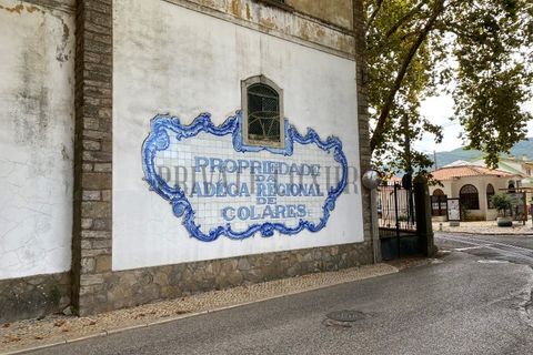 Helårsgrund i Almocageme, Lisbon, Almocageme - € 1.495.000 | Ref: 8686 - foto 6