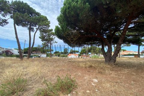 Helårsgrund i Almocageme, Lisbon, Almocageme - € 1.495.000 | Ref: 8686 - foto 14