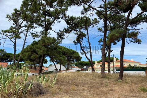Helårsgrund i Almocageme, Lisbon, Almocageme - € 1.495.000 | Ref: 8686 - foto 17