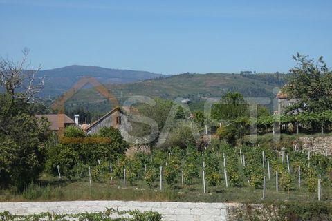 Gård i Prado e Remoaes, Viana do Castelo, Prado e Remoaes - € 69 000 | Ref: SAFTI:00406 - foto 7