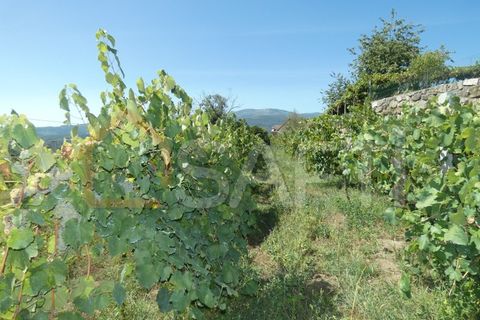 Gård i Prado e Remoaes, Viana do Castelo, Prado e Remoaes - € 69 000 | Ref: SAFTI:00406 - foto 9