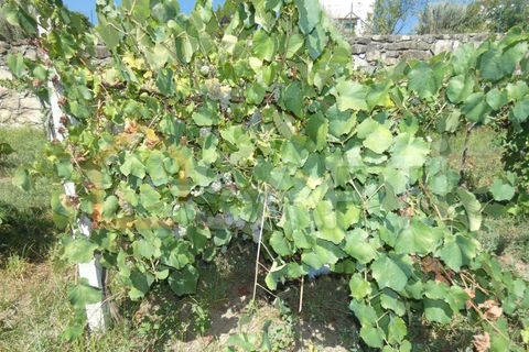 Gård i Prado e Remoaes, Viana do Castelo, Prado e Remoaes - € 69 000 | Ref: SAFTI:00406 - foto 10