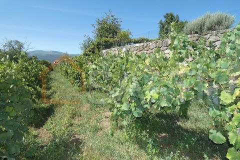 Gård i Prado e Remoaes, Viana do Castelo, Prado e Remoaes - € 69 000 | Ref: SAFTI:00406 - foto 11