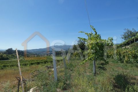 Gård i Prado e Remoaes, Viana do Castelo, Prado e Remoaes - € 69 000 | Ref: SAFTI:00406 - foto 13