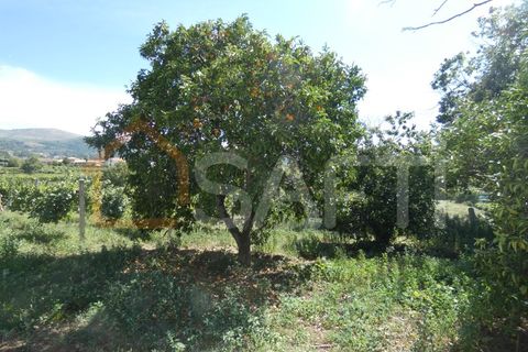 Gård i Prado e Remoaes, Viana do Castelo, Prado e Remoaes - € 69 000 | Ref: SAFTI:00406 - foto 14