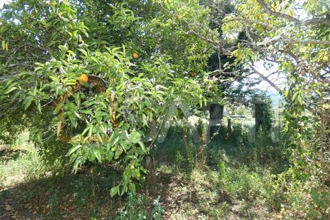 Gård i Prado e Remoaes, Viana do Castelo, Prado e Remoaes - € 69 000 | Ref: SAFTI:00406 - foto 16