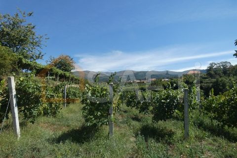 Gård i Prado e Remoaes, Viana do Castelo, Prado e Remoaes - € 69 000 | Ref: SAFTI:00406 - foto 12
