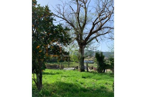 Gård i Prado e Remoaes, Viana do Castelo, Prado e Remoaes - € 69 000 | Ref: SAFTI:00406 - foto 21