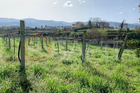 Gård i Prado e Remoaes, Viana do Castelo, Prado e Remoaes - € 69 000 | Ref: SAFTI:00406 - foto 22