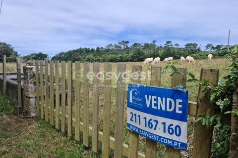 Terra a Vila do Porto, Santa Maria, Vila do Porto - € 52.500 | Ref: AZ84852MK - foto 2
