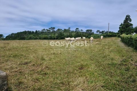Terra a Vila do Porto, Santa Maria, Vila do Porto - € 52.500 | Ref: AZ84852MK - foto 3