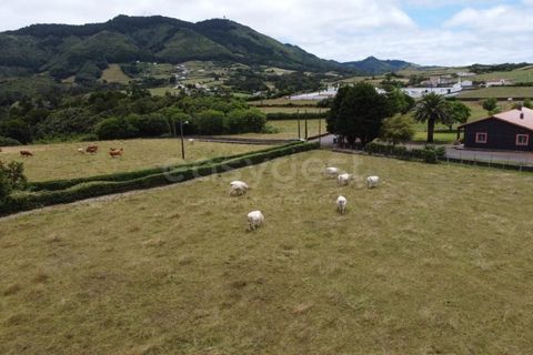 Terra a Vila do Porto, Santa Maria, Vila do Porto - € 52.500 | Ref: AZ84852MK - foto 6