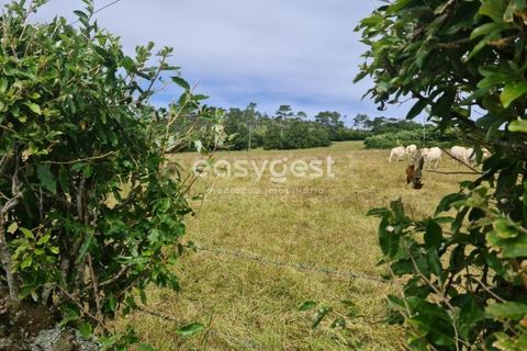 Terra a Vila do Porto, Santa Maria, Vila do Porto - € 52.500 | Ref: AZ84852MK - foto 7