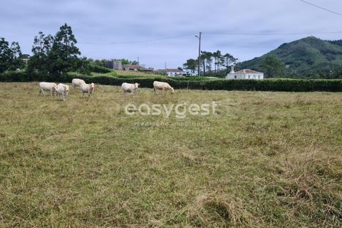 Terra a Vila do Porto, Santa Maria, Vila do Porto - € 52.500 | Ref: AZ84852MK - foto 8