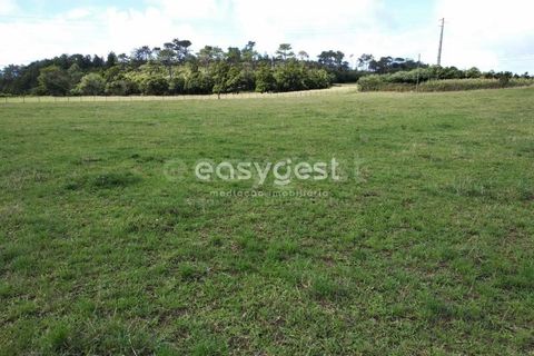 Terra a Vila do Porto, Santa Maria, Vila do Porto - € 52.500 | Ref: AZ84852MK - foto 13
