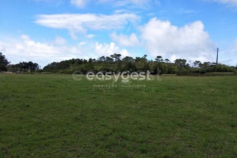 Terra a Vila do Porto, Santa Maria, Vila do Porto - € 52.500 | Ref: AZ84852MK - foto 14