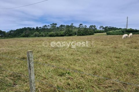 Terra a Vila do Porto, Santa Maria, Vila do Porto - € 52.500 | Ref: AZ84852MK - foto 18