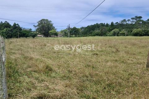 Terra a Vila do Porto, Santa Maria, Vila do Porto - € 52.500 | Ref: AZ84852MK - foto 19