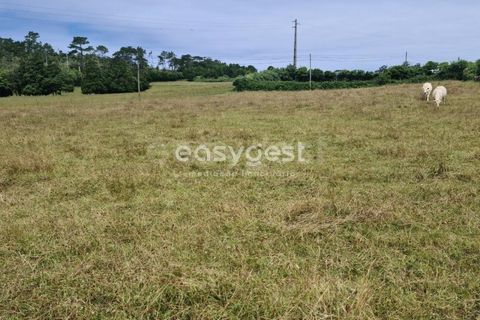 Terra a Vila do Porto, Santa Maria, Vila do Porto - € 52.500 | Ref: AZ84852MK - foto 20