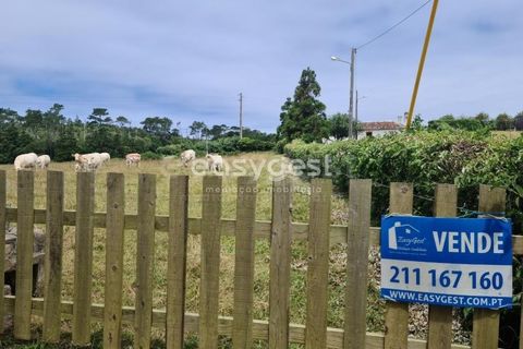 Terra a Vila do Porto, Santa Maria, Vila do Porto - € 52.500 | Ref: AZ84852MK - foto 21