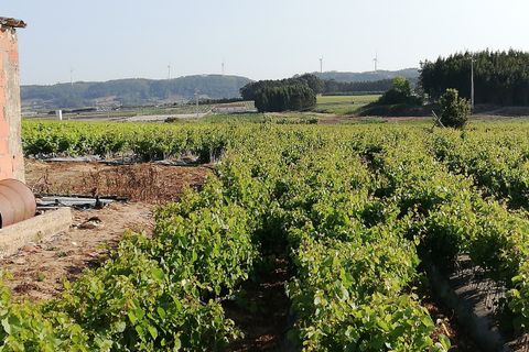 Villa i Obidos, Leiria, Obidos - € 89.000 | Ref: RVC2568 - foto 5