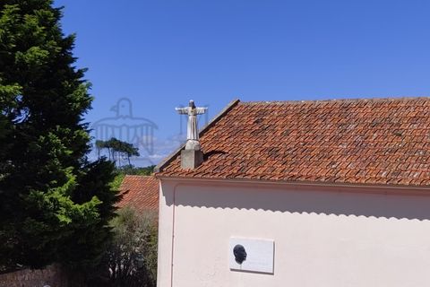 Farm i Almocageme, Lisbon, Almocageme - € 3.200.000 | Ref: PGCA-3592 - foto 11
