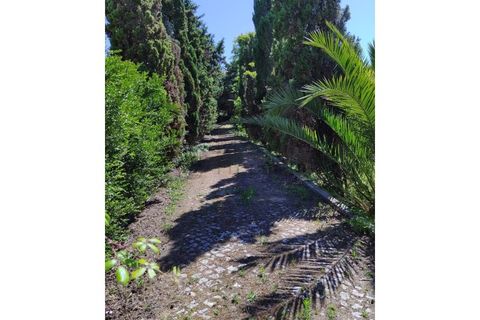 Farm i Almocageme, Lisbon, Almocageme - € 3.200.000 | Ref: PGCA-3592 - foto 13