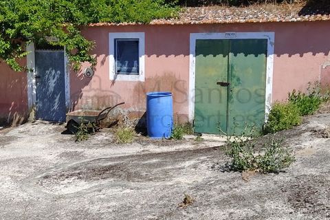 Farm i Almocageme, Lisbon, Almocageme - € 3.200.000 | Ref: PGCA-3592 - foto 15
