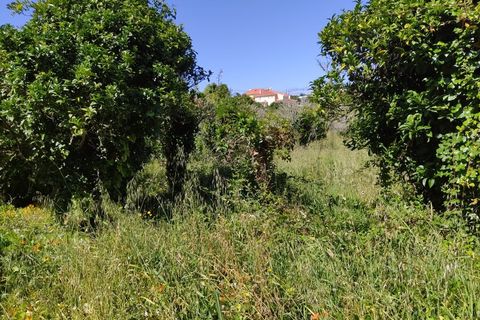 Farm i Almocageme, Lisbon, Almocageme - € 3.200.000 | Ref: PGCA-3592 - foto 17