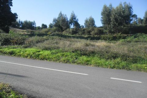 Helårsgrund i Amarante, Porto, Amarante - € 55.000 | Ref: 856 - foto 8