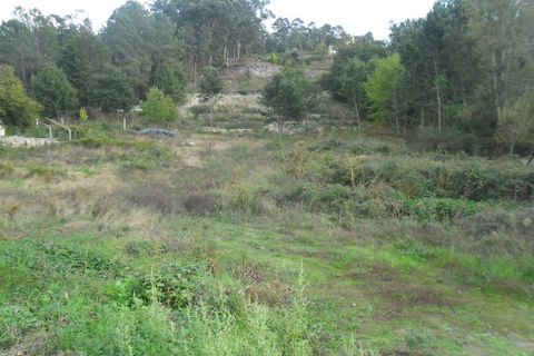 Helårsgrund i Amarante, Porto, Amarante - € 55.000 | Ref: 856 - foto 5
