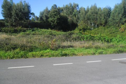 Helårsgrund i Amarante, Porto, Amarante - € 55.000 | Ref: 856 - foto 6