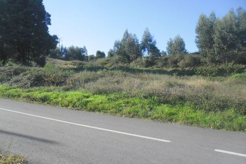 Helårsgrund i Amarante, Porto, Amarante - € 55.000 | Ref: 856 - foto 7