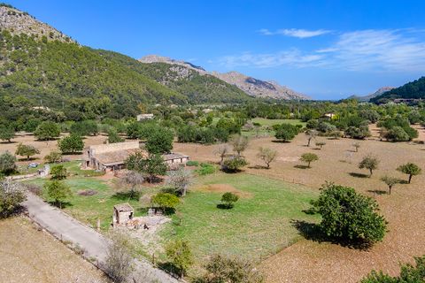 Cortijo i Pollenca, Mallorca, Pollenca - € 2 250 000 | Ref: POL52580 - foto 2