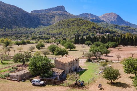Cortijo i Pollenca, Mallorca, Pollenca - € 2 250 000 | Ref: POL52580 - foto 3
