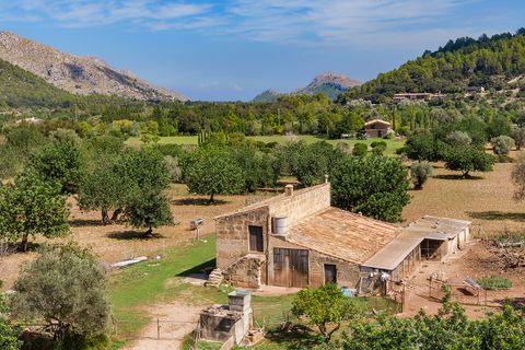 Cortijo i Pollenca, Mallorca, Pollenca - € 2 250 000 | Ref: POL52580 - foto 4
