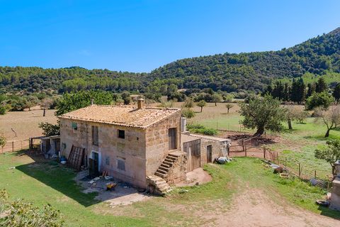 Cortijo i Pollenca, Mallorca, Pollenca - € 2 250 000 | Ref: POL52580 - foto 5